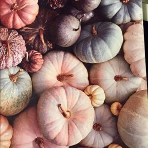 Meet your Posher, Lizz